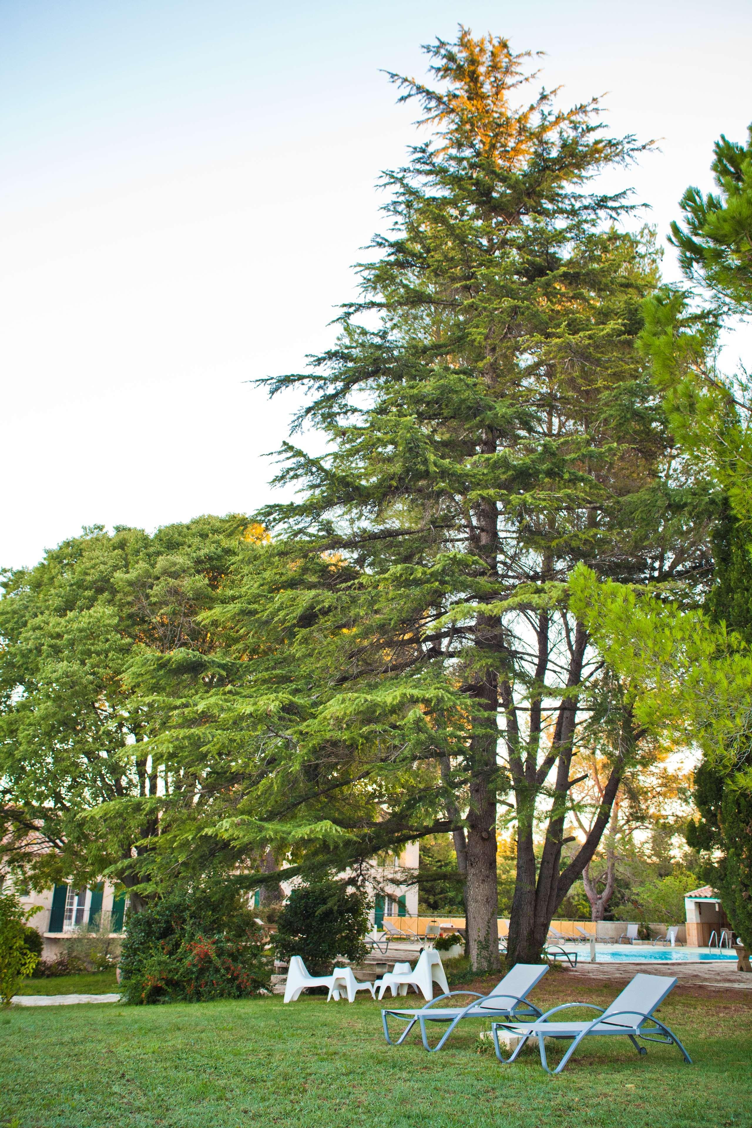 Best Western Le Val Majour Fontvieille Exteriér fotografie
