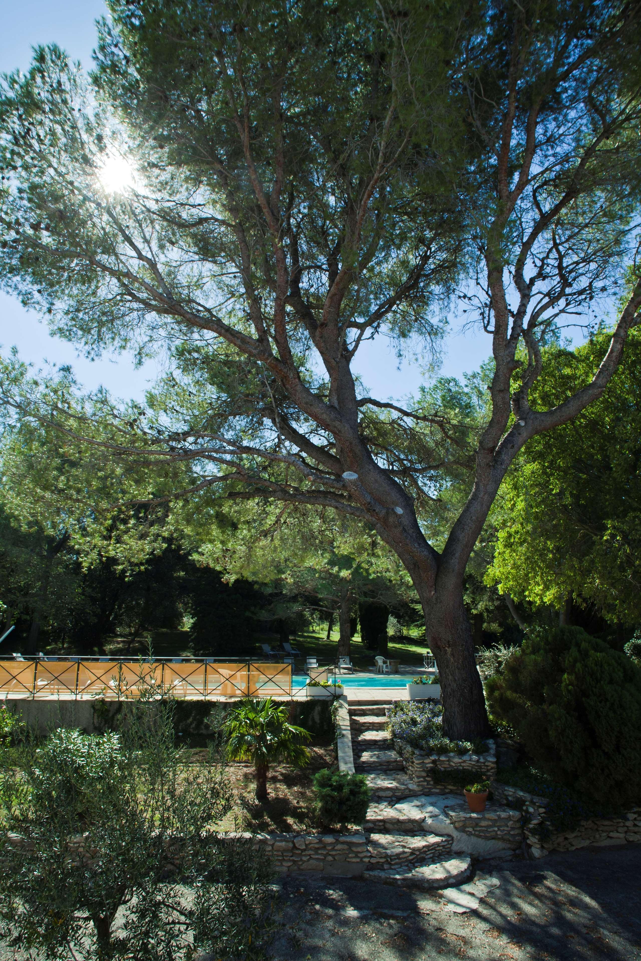 Best Western Le Val Majour Fontvieille Exteriér fotografie